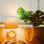 Simple Tips for Creating a Cozy and Inviting Home Environment